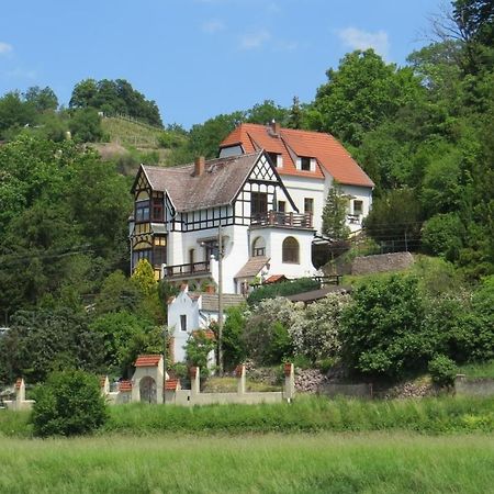 Ferienwohnung Elbsommer Am Weinberg Майсен Екстер'єр фото