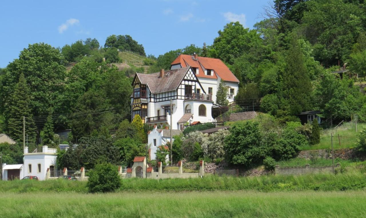 Ferienwohnung Elbsommer Am Weinberg Майсен Екстер'єр фото